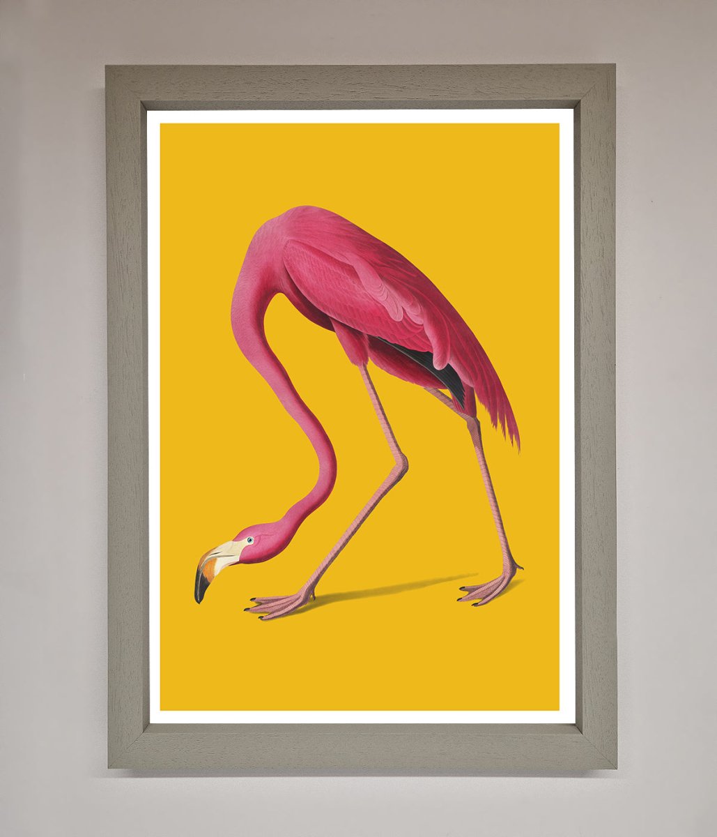 Pink Flamingo On Yellow Framed Print