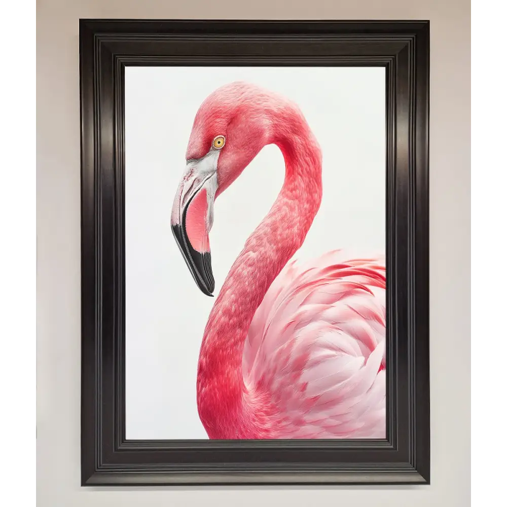 Pink Flamingo Stare Framed Print - A1 (59.4 x 84.1 cm) / Matt Black - Framed Print