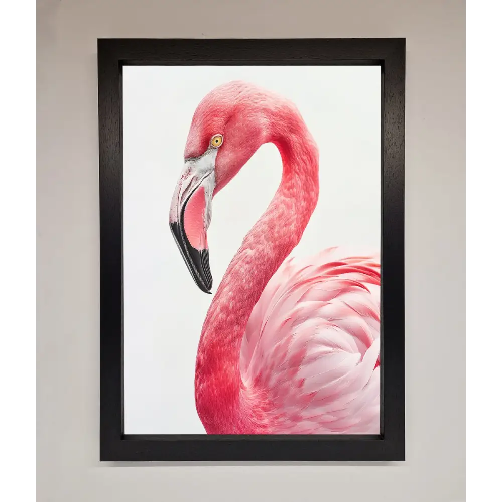 Pink Flamingo Stare Framed Print - A3 (29.7 x 42 cm) / Black - Framed Print