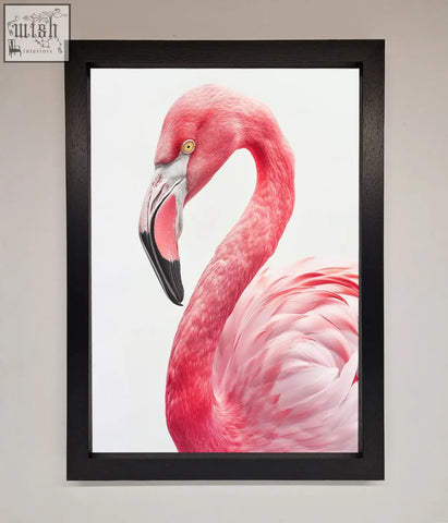 A sleek black framed print of a pink flamingo stare with detailed feather texture and a black beak