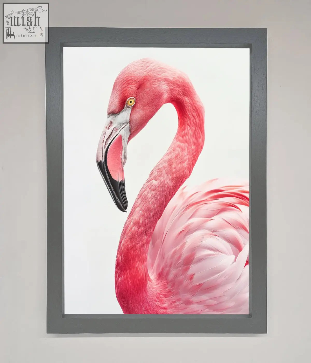A sleek gray framed print featuring a pink flamingo stare with detailed feathers and a black beak perfect for decor