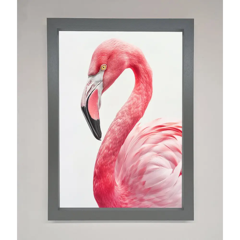 Pink Flamingo Stare Framed Print - A3 (29.7 x 42 cm) / Dark Grey - Framed Print