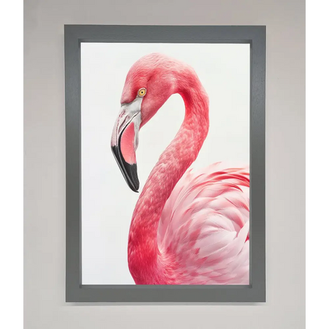 Pink Flamingo Stare Framed Print - A3 (29.7 x 42 cm) / Dark Grey - Framed Print