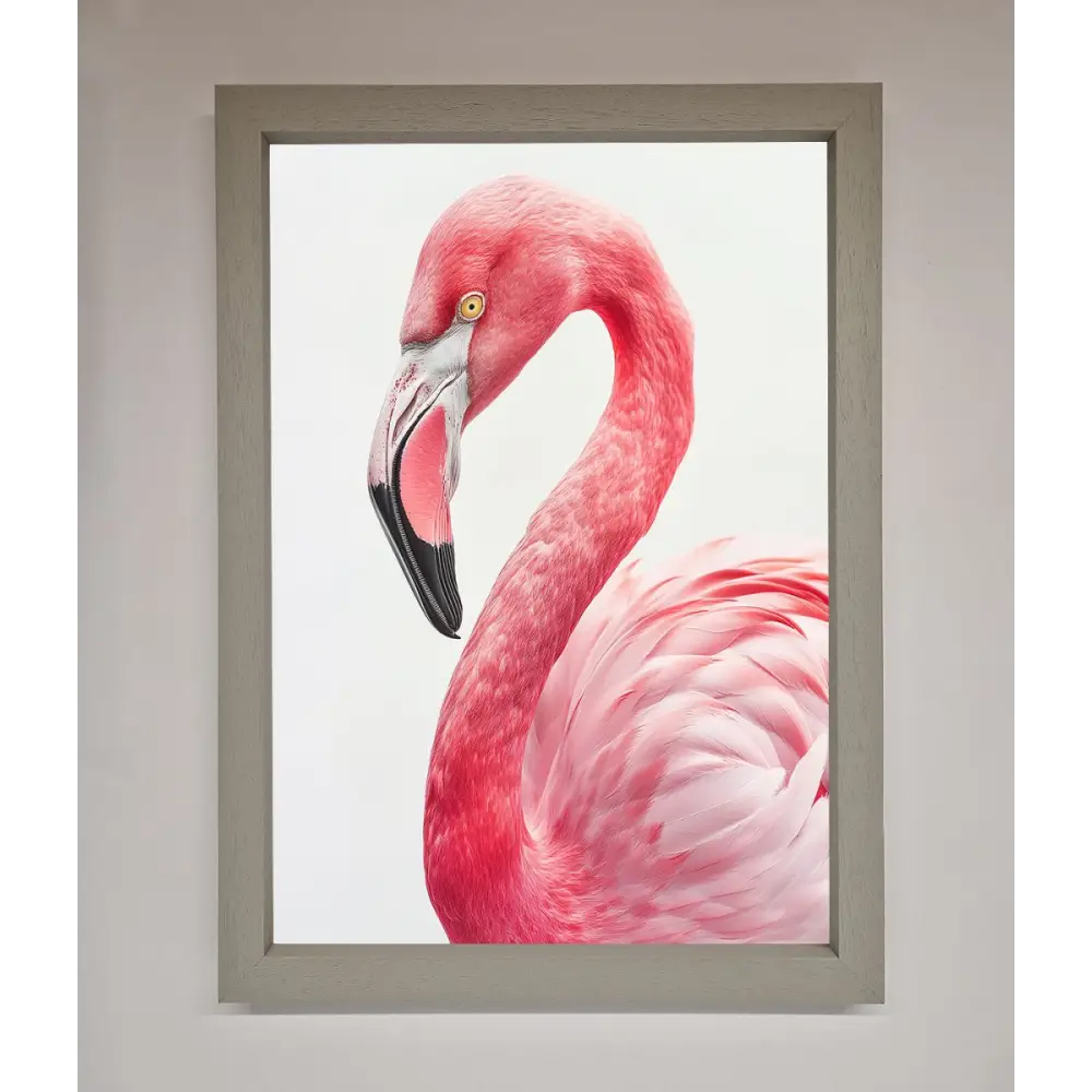 Pink Flamingo Stare Framed Print - A3 (29.7 x 42 cm) / Grey - Framed Print