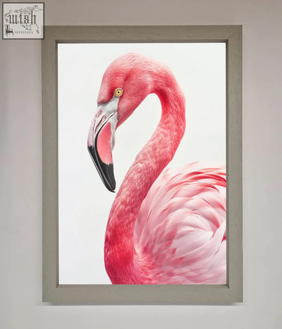 A framed print of a pink flamingo stare with detailed feathers and a black beak in a light gray wooden frame