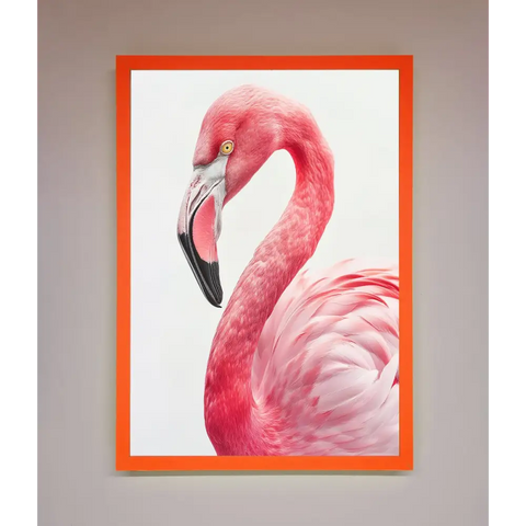 Pink Flamingo Stare Framed Print - A3 (29.7 x 42 cm) / Neon Orange - Framed Print