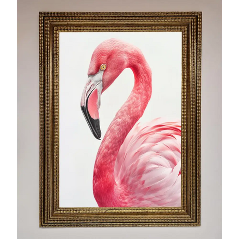Pink Flamingo Stare Framed Print - A3 (29.7 x 42 cm) / Ornate Gold - Framed Print