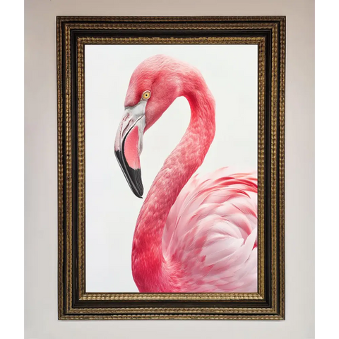 Pink Flamingo Stare Framed Print - A3 (29.7 x 42 cm) / Ornate Gold Black - Framed Print