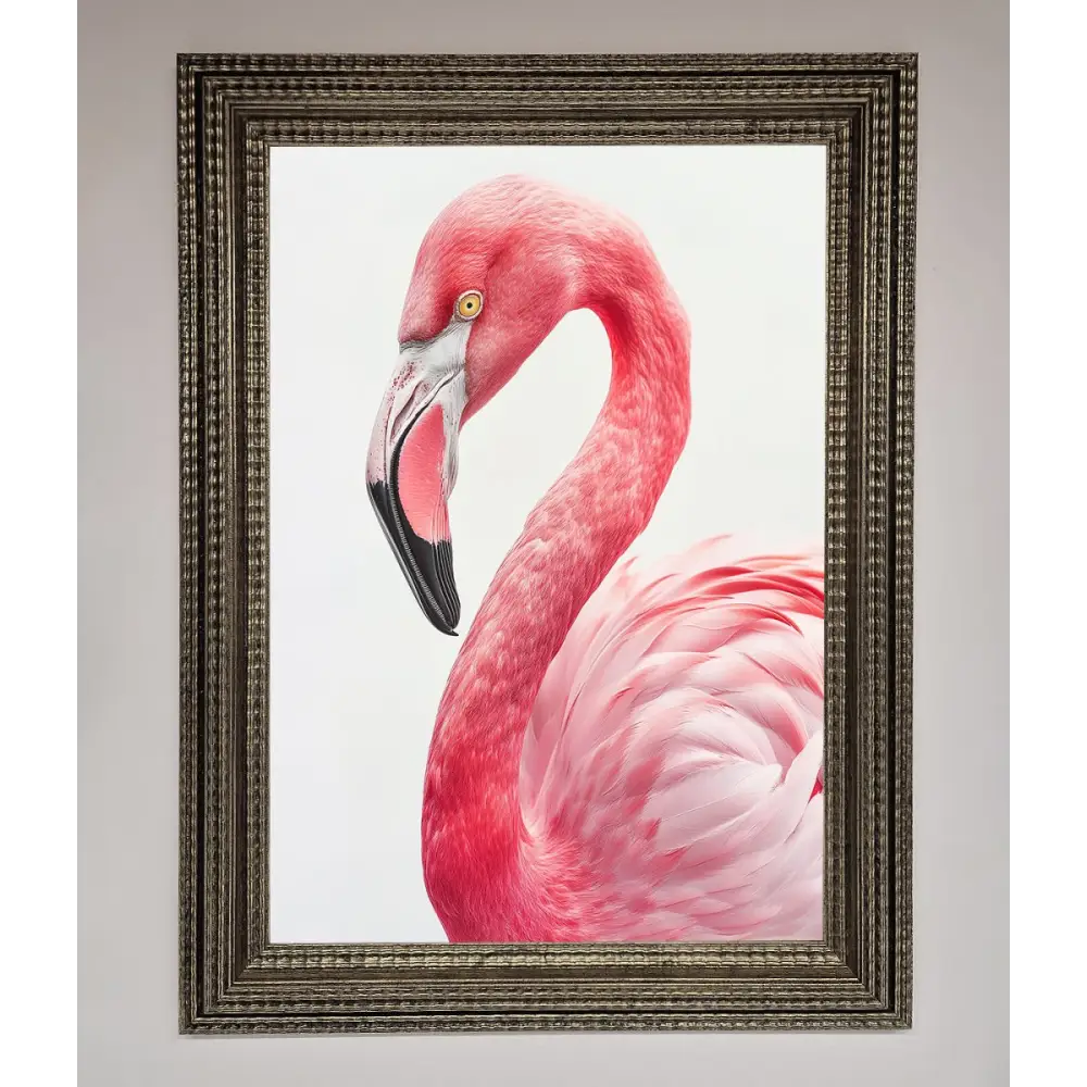 Pink Flamingo Stare Framed Print - A3 (29.7 x 42 cm) / Ornate Silver - Framed Print