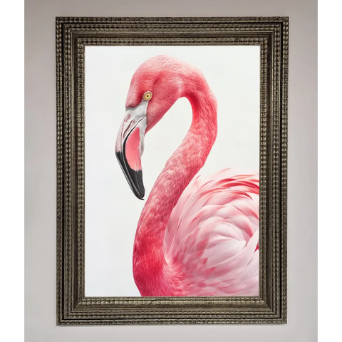 Pink Flamingo Stare Framed Print - A3 (29.7 x 42 cm) / Ornate Silver - Framed Print