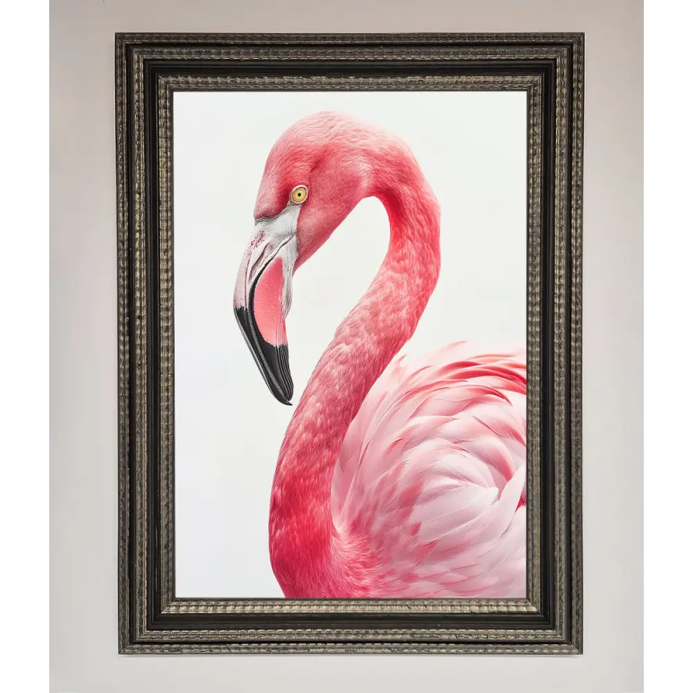 Pink Flamingo Stare Framed Print - A3 (29.7 x 42 cm) / Ornate Silver Black - Framed Print