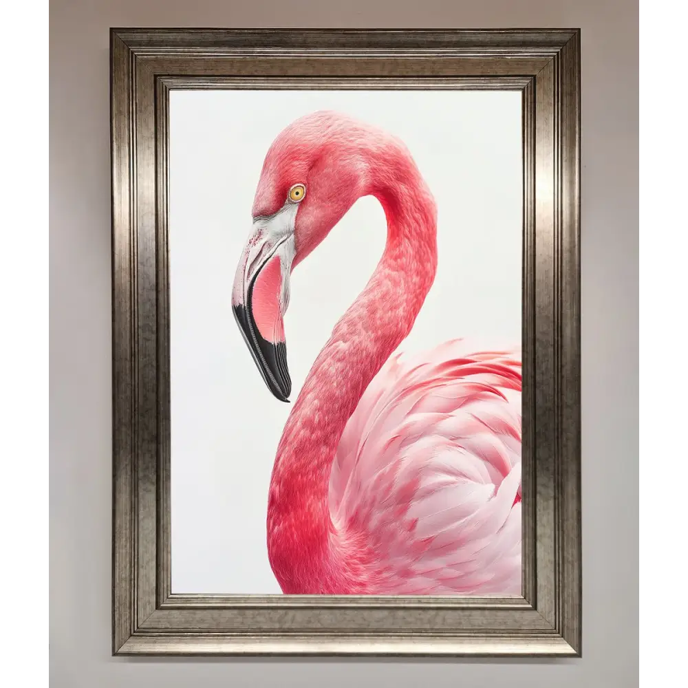 Pink Flamingo Stare Framed Print - A3 (29.7 x 42 cm) / Silver - Framed Print