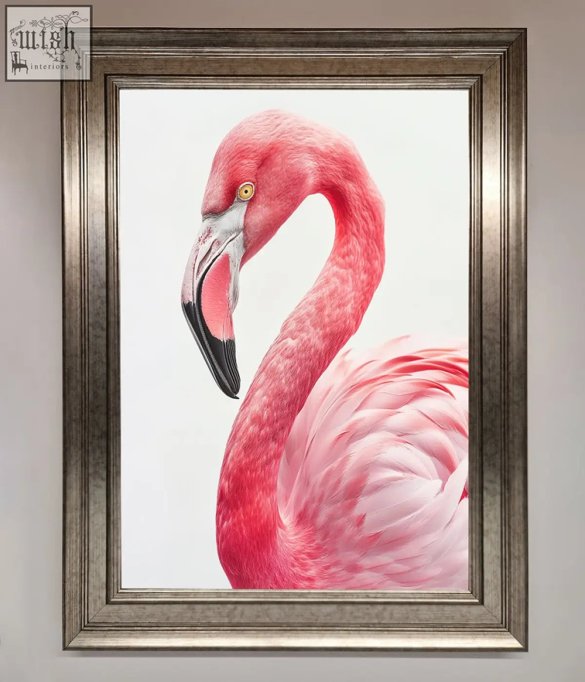 A flamingo stare framed print featuring a pink flamingo with detailed feathers in an ornate silver framed print