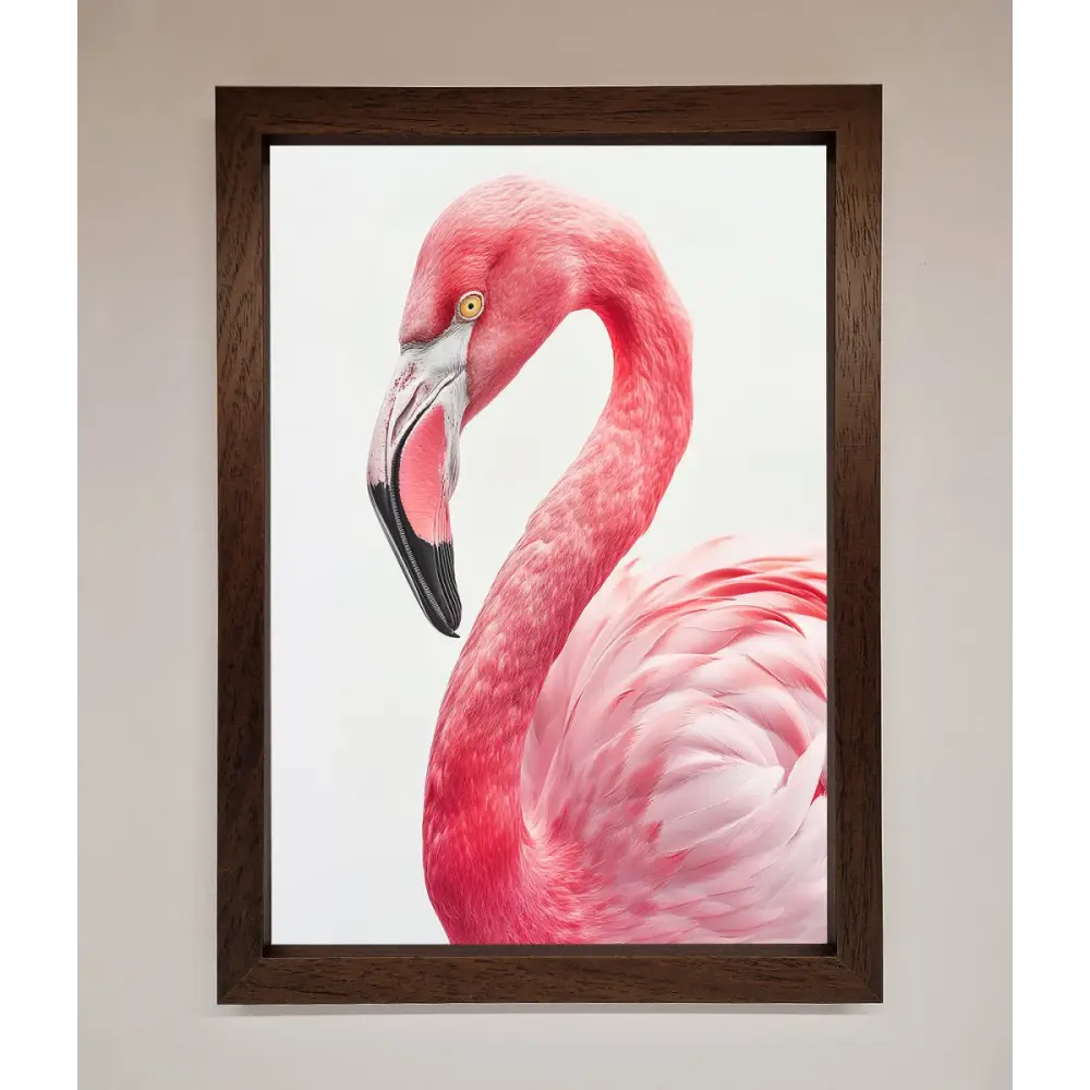 Pink Flamingo Stare Framed Print - A3 (29.7 x 42 cm) / Walnut - Framed Print