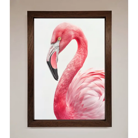 Pink Flamingo Stare Framed Print - A3 (29.7 x 42 cm) / Walnut - Framed Print