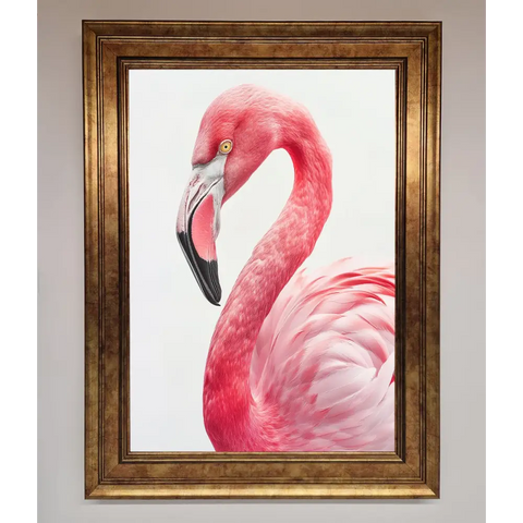 Pink Flamingo Stare Framed Print - B0 (100 x 141 cm) / Bronze - Framed Print