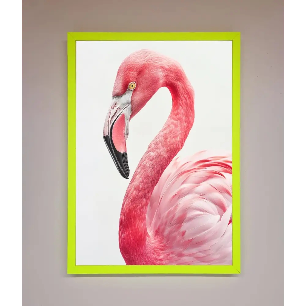 Pink Flamingo Stare Framed Print - B0 (100 x 141 cm) / Neon Green - Framed Print