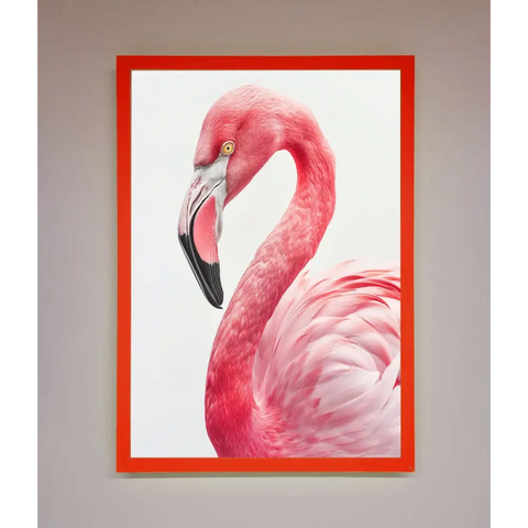 Pink Flamingo Stare Framed Print - B0 (100 x 141 cm) / Neon Red - Framed Print