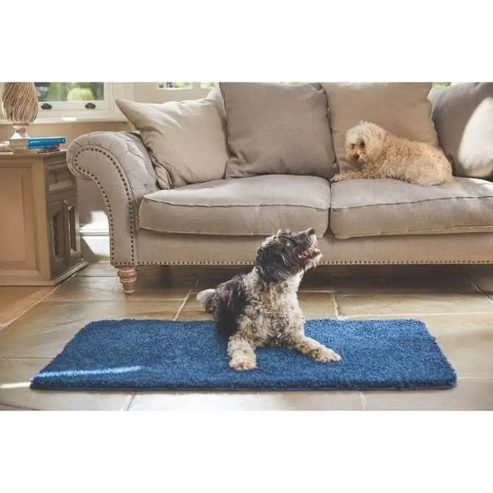Plain Washable Pet Rug and Runner - Blue / 67X150 cm - Rugs