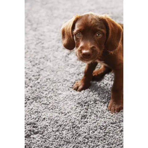 Plain Washable Pet Rug and Runner - Rugs