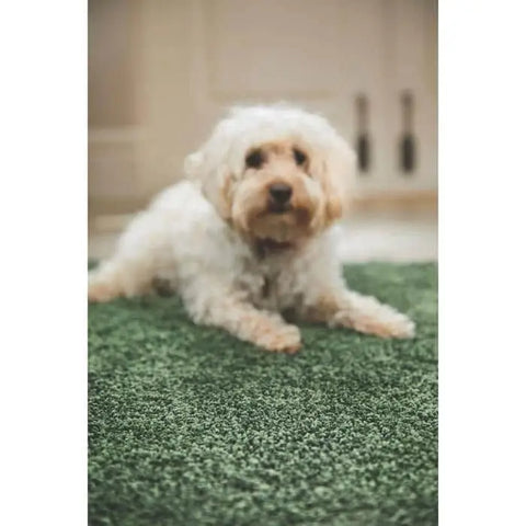 Plain Washable Pet Rug and Runner - Rugs