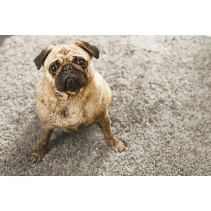 Plain Washable Pet Rug and Runner - Rugs