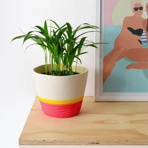 A vibrant handwoven planter basket made of 100% cotton with a white top and pink yellow stripes at the base