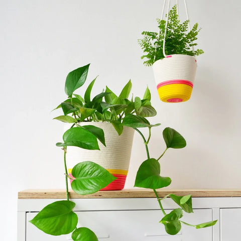 White woven hanging planter basket with vibrant yellow and pink stripes made of 100% cotton for indoor use