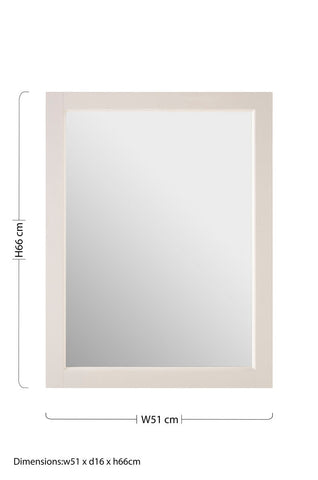 Port Mirrored Wall Cabinet With 2 Inner Shelves