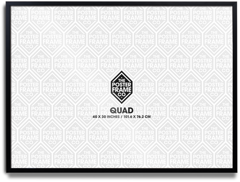 Quad (30x40 Inch) Premium Poster Frame - Black