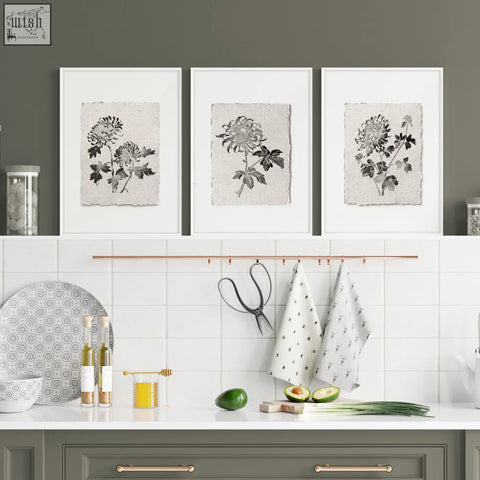 Three framed french country botanical chrysanthemum wall art prints with black ink on textured beige paper in white frames