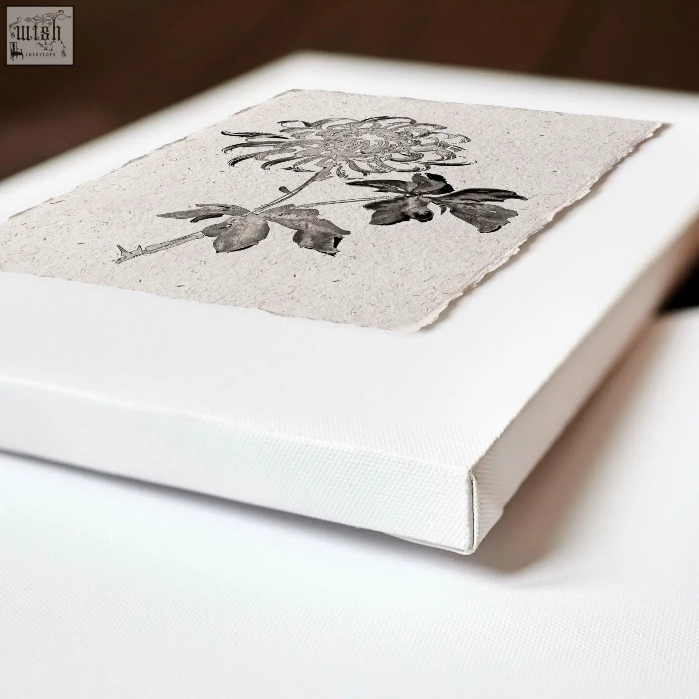 Delicate black ink botanical chrysanthemum wall art on textured off-white paper for french country kitchen decor