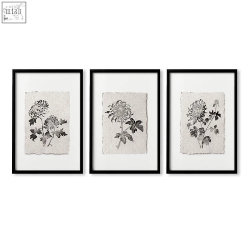 Set of three black-framed french country botanical chrysanthemum wall art prints on textured off-white paper