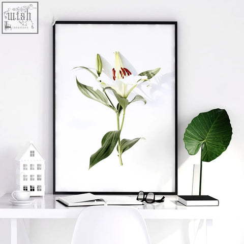 Black-framed wall art prints featuring white lily with green leaves and red stamens perfect for kitchen decor