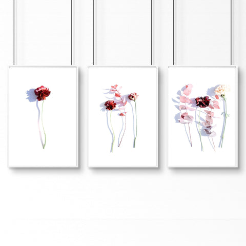 Art flowers | set of 3 framed wall art
