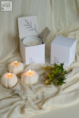 White pumpkin shaped candles with lit wicks in minimalist white boxes featuring delicate leaf art perfect for pumpkin spice decor