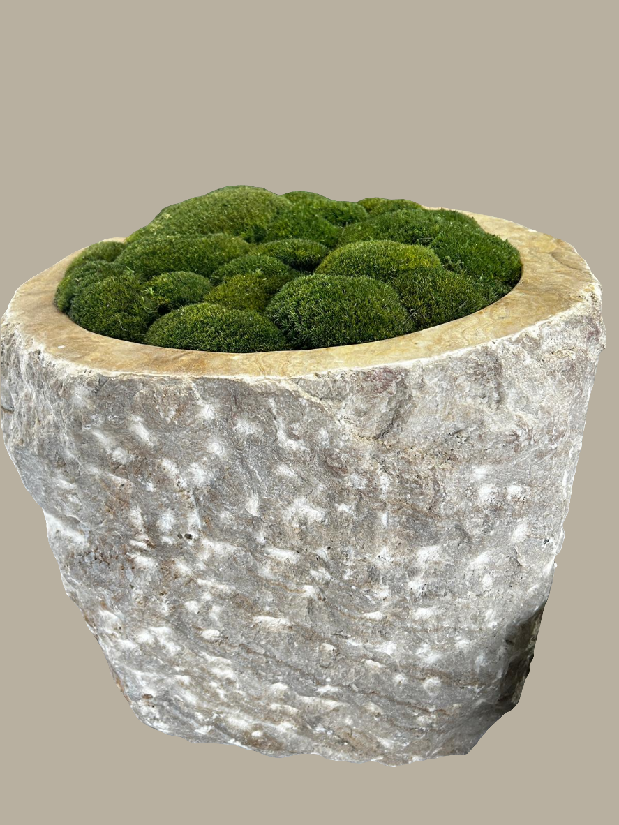 Rough-textured gray onyx planter pot 60cm diameter filled with vibrant green moss balls