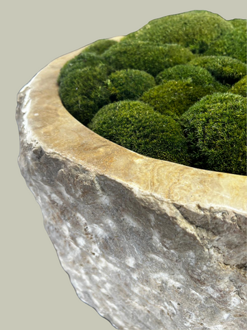 Rustic textured onyx planter pot with 60cm diameter filled with lush green moss balls
