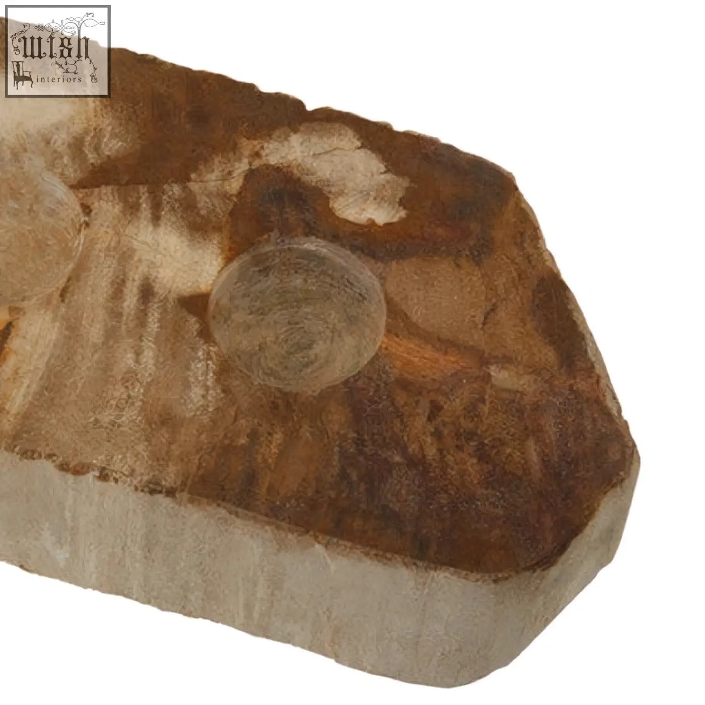 A relic petrified wood tealight holder made of polished brown fossilized wood with natural striations and glossy finish