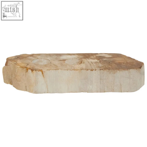 A smooth light beige relic petrified wood slice tealight holder with natural brown and tan striations