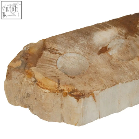 Relief petrified wood tealight holder with polished light brown slab and smooth natural edge showing concentric rings