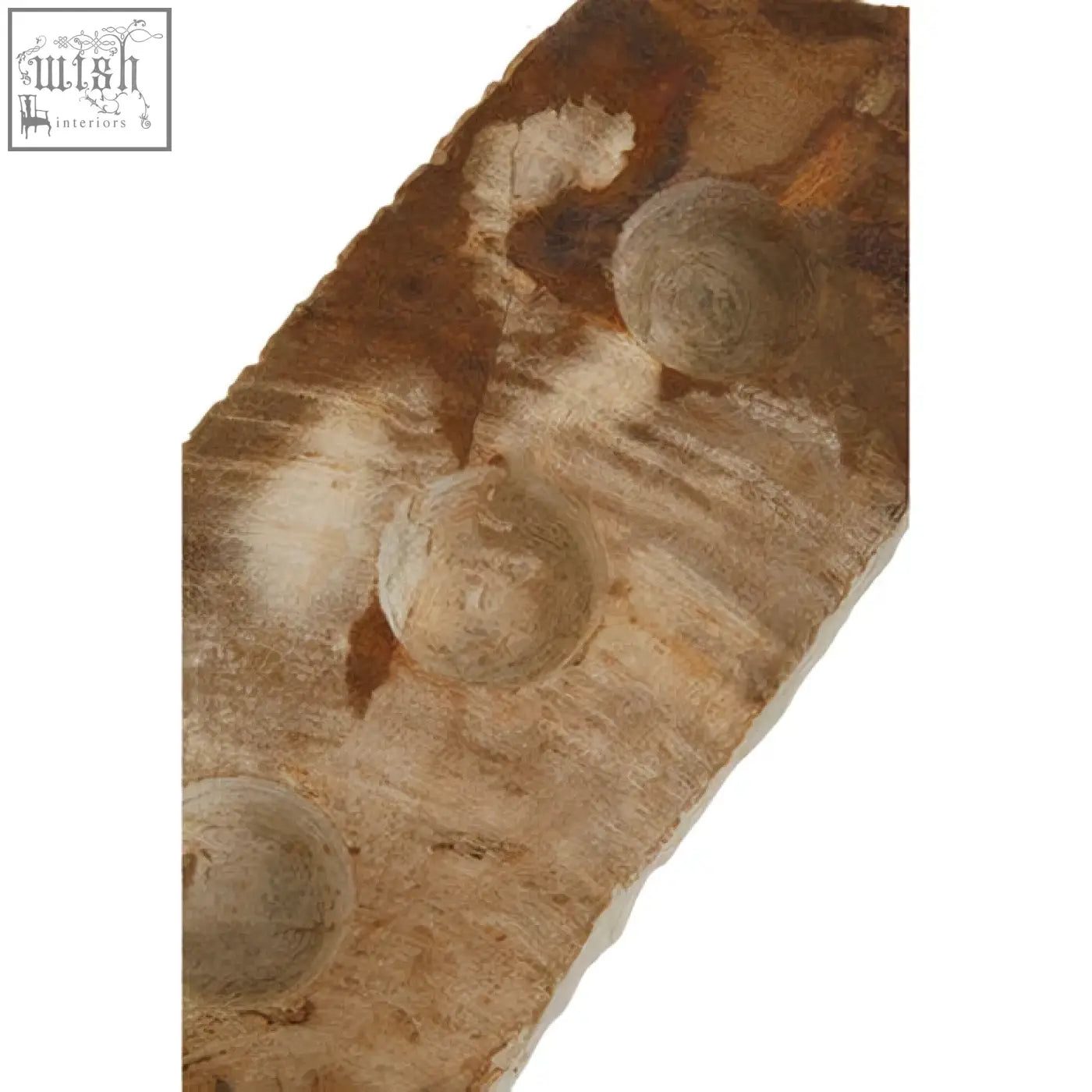 Rustic relic petrified wood tealight holder with three fossilized shells in brown and beige stone slab design