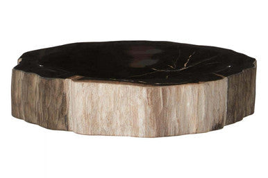 This relic petrified wood bowl features a circular wood bowl design with a dark polished top and light textured sides