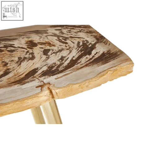 Relic petrified wood console table with rustic live edge wooden top and gold toned metal legs in warm brown tones