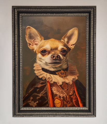 Renaissance Chiuhua Framed Print