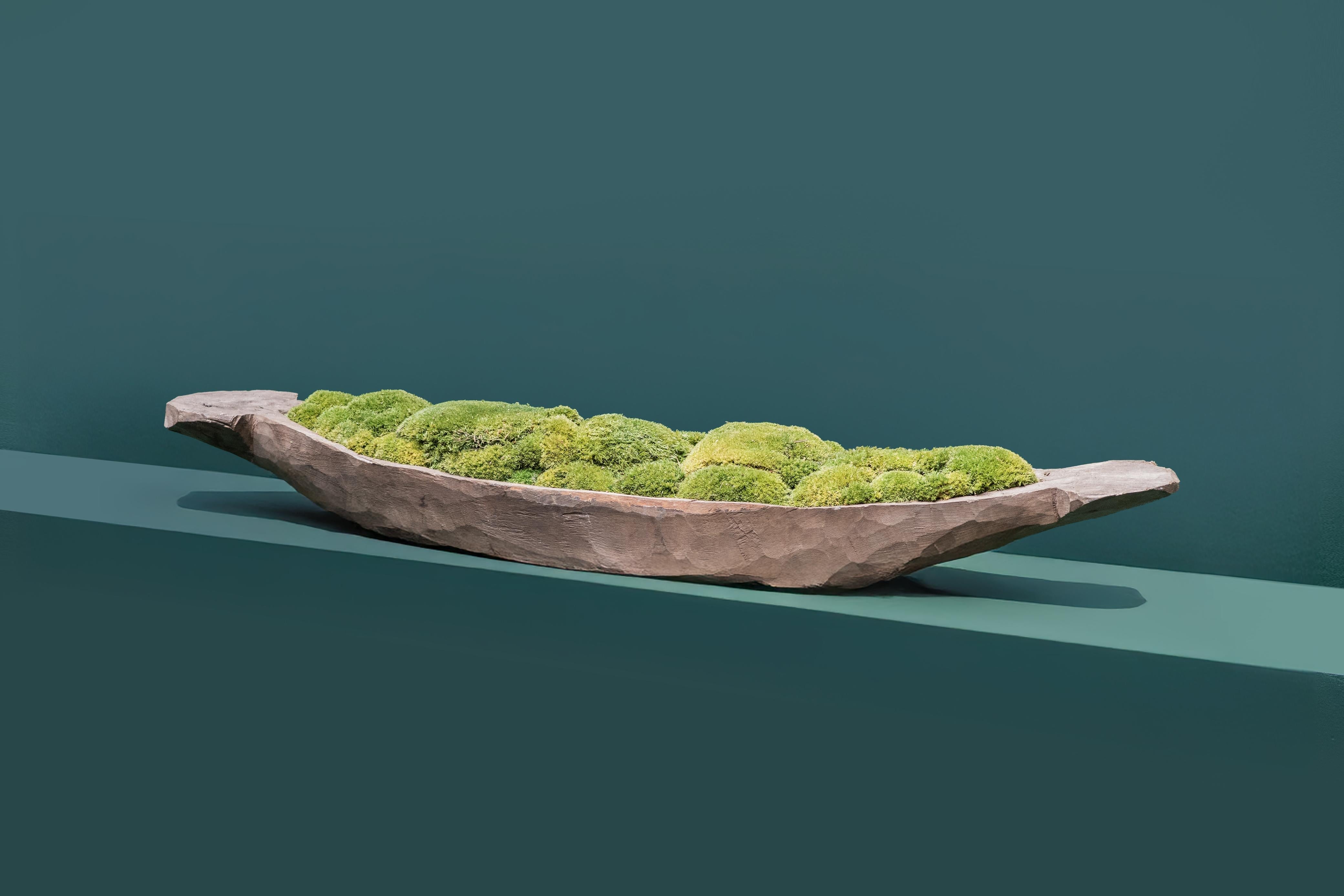 Mokoro Canoe with Preserved Moss Table Display FR63