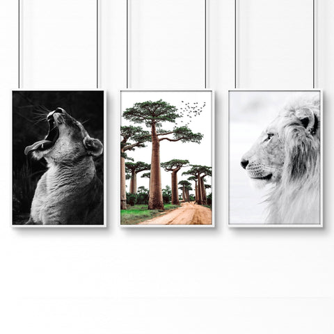 Safari Bedrooms | Set of 3 African Wildlife Wall art Prints