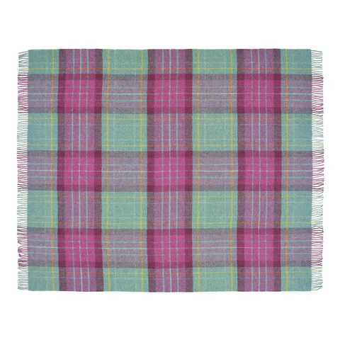 Saltburn Check Pure New Wool Throw - Cerise - Throws & Blankets