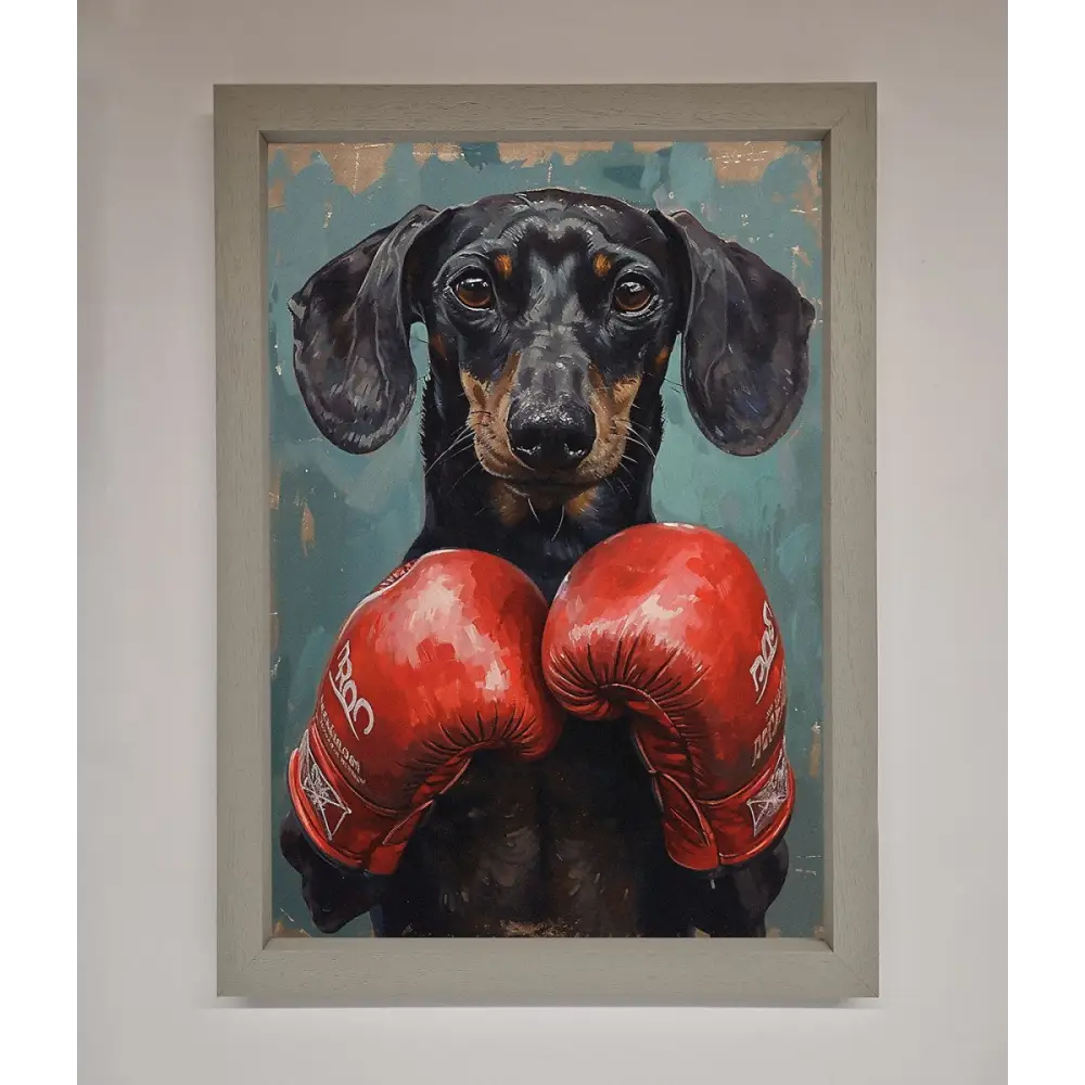 Sausage Dog Boxing Framed Print - A3 (29.7 x 42 cm) / Grey - Framed Print