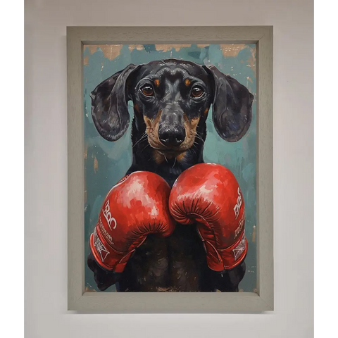 Sausage Dog Boxing Framed Print - A3 (29.7 x 42 cm) / Grey - Framed Print